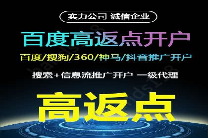 百度推广公司案例解析：如何利用百度推广实现快速转化